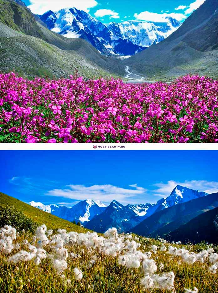 Гора Белуха и Горный Алтай