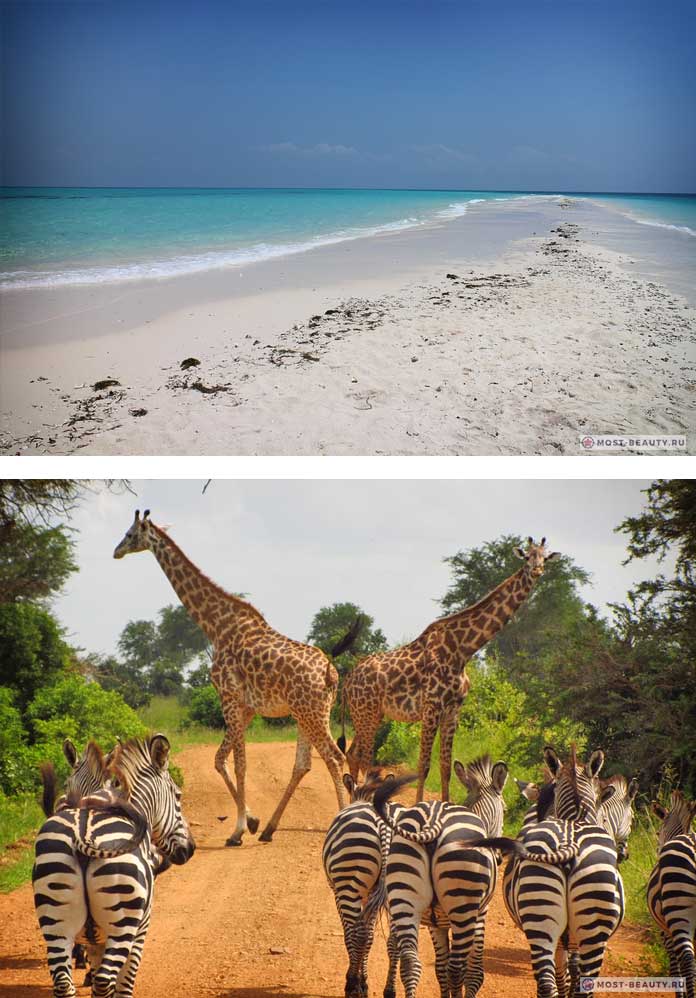 Самые красивые страны: Природа Танзании (CC0)