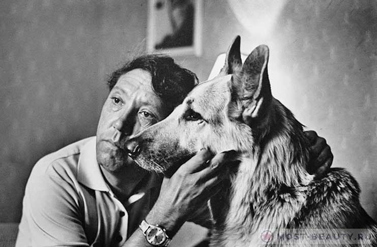 Советские фильмы про собак:Ко мне, Мухтар! 1965
