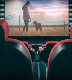 Самые красивые фильмы про собак