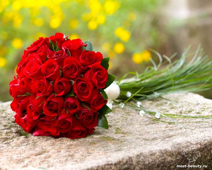Красивые букет красных роз. CC0