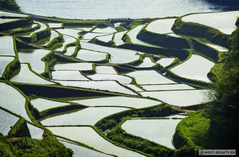 Hamanoura Rice Terraces