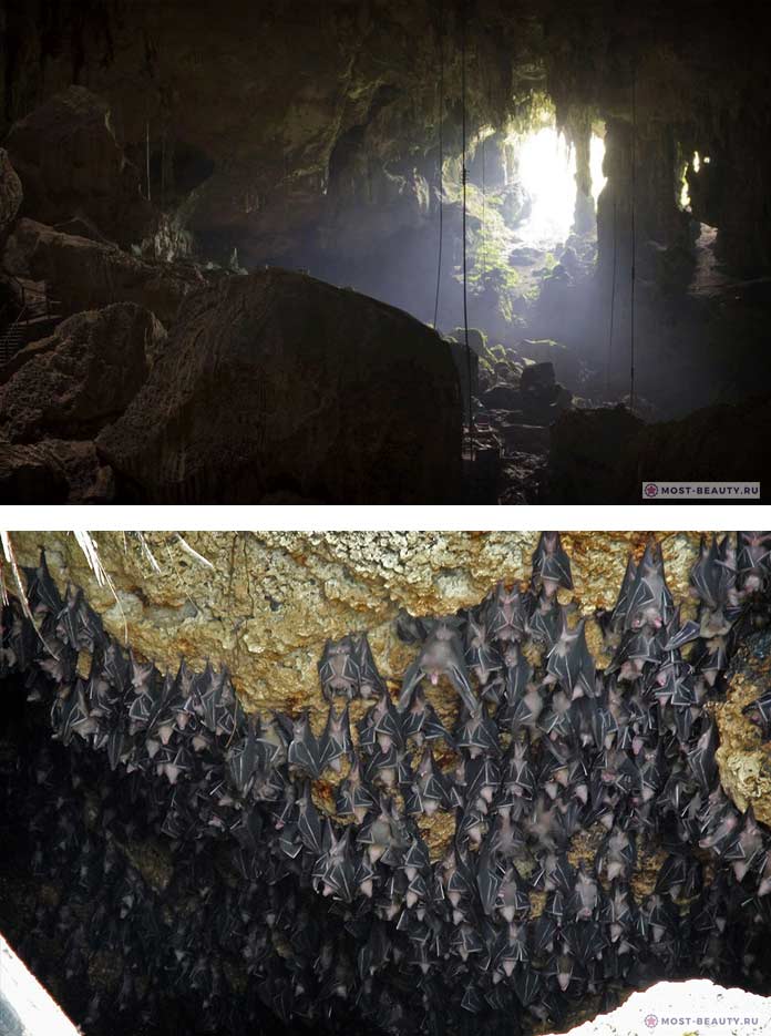 Пещеры летучих мышей