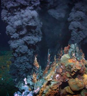 ТОП-7 подводных вулканов для незабываемого дайвинга