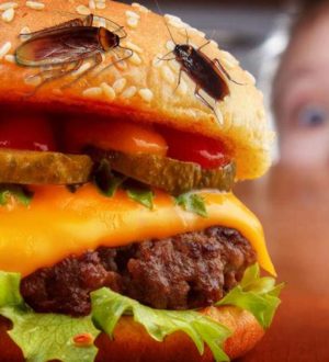 10 удивительных посторонних предметов, которые обнаруживали в фастфуде