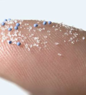 ТОП-10 удивительных и пугающих фактов о микропластике