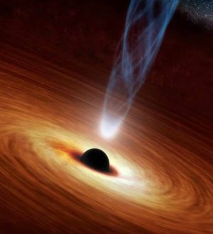 ТОП-10 явлений в природе, которые тесно связаны с математикой