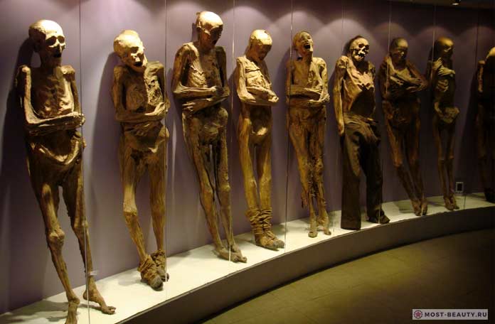 Музей мумий
