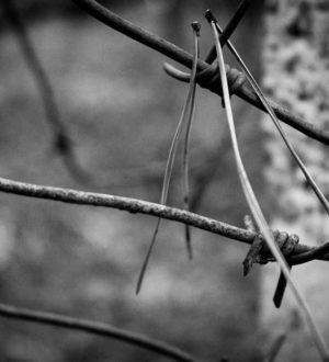 Самые жестокие тюрьмы России: список с фотографиями