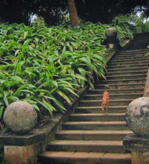 10 лестниц Шри-Ланки, которые спроектировал Джеффри Бава