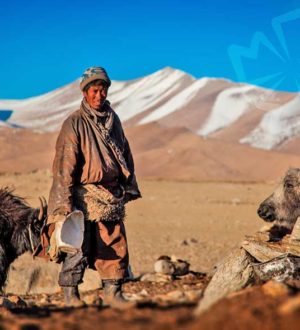 Современные народы, ведущие кочевой образ жизни