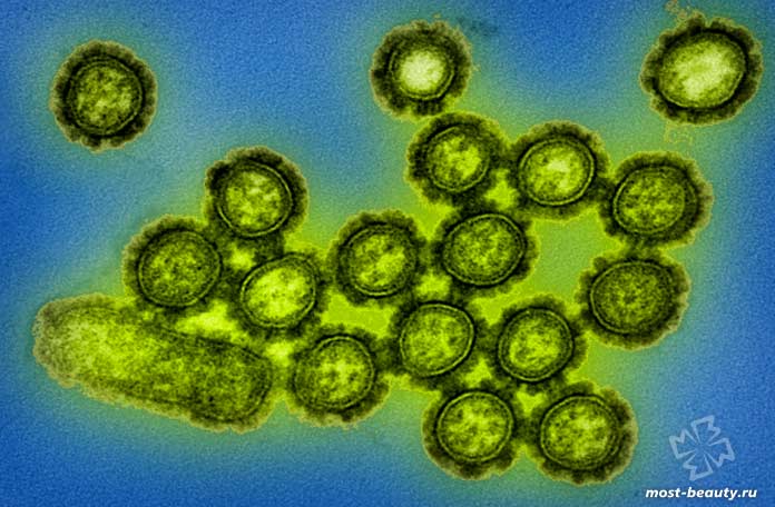 Теории заговора о происхождении болезней: Н1N1. CC0