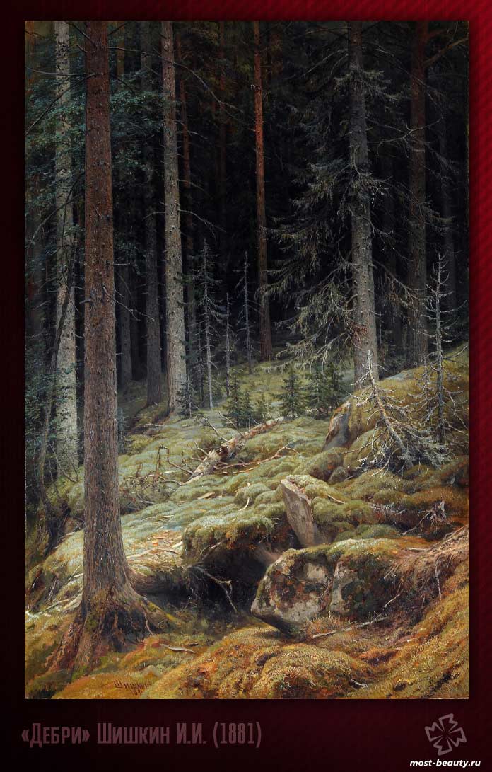 Картины Третьяковской галереи: «Дебри» Шишкин И.И. (1881)
