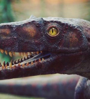 Самые популярные музеи динозавров во всём мире ?