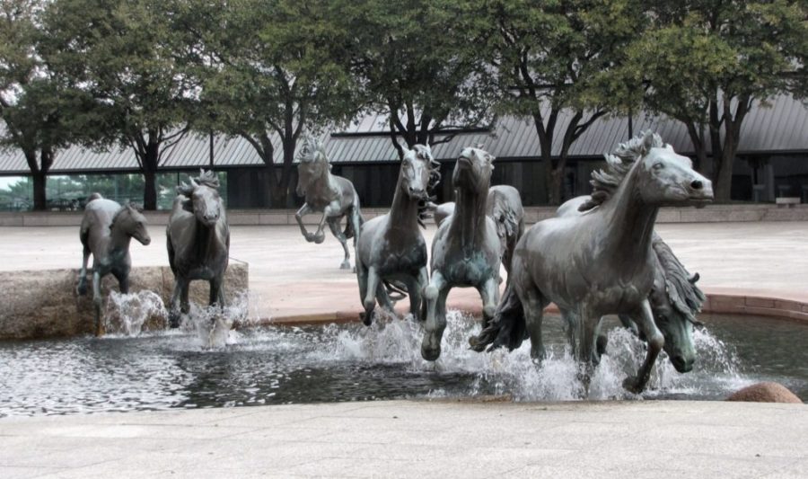 Лошади пересекают бассейн, фонтаны имитируют брызги из-под копыт