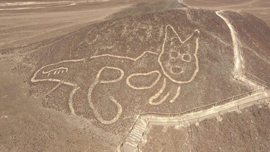 Геоглиф-кошка на плато Наска