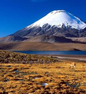 ТОП 10 самых больших вулканов на планете