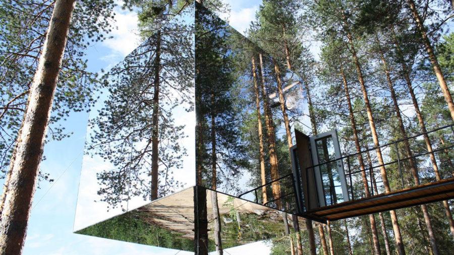 Treehotel nature (Швеция)