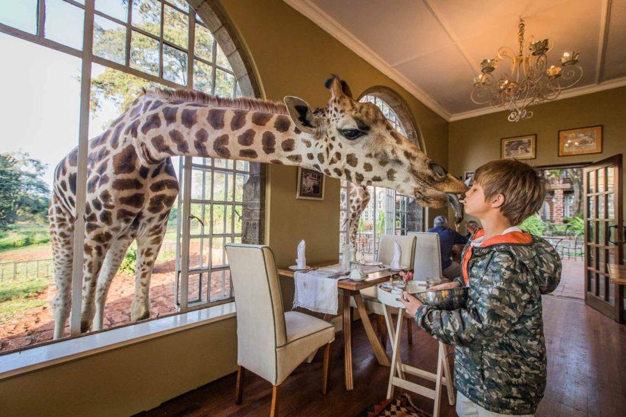 Giraffe Manor (Кения)