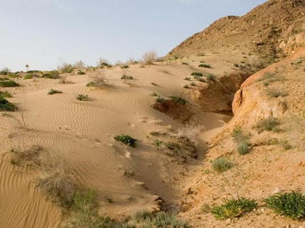 Песчаные пустыни