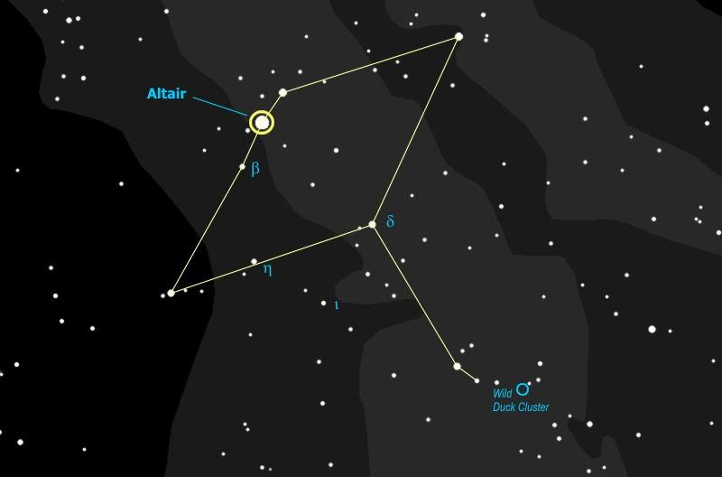 Самое яркое созвездие орла. Альтаир звезда в созвездии. Созвездие Альтаир схема. Альтаир Созвездие орла. Созвездие Аквила.