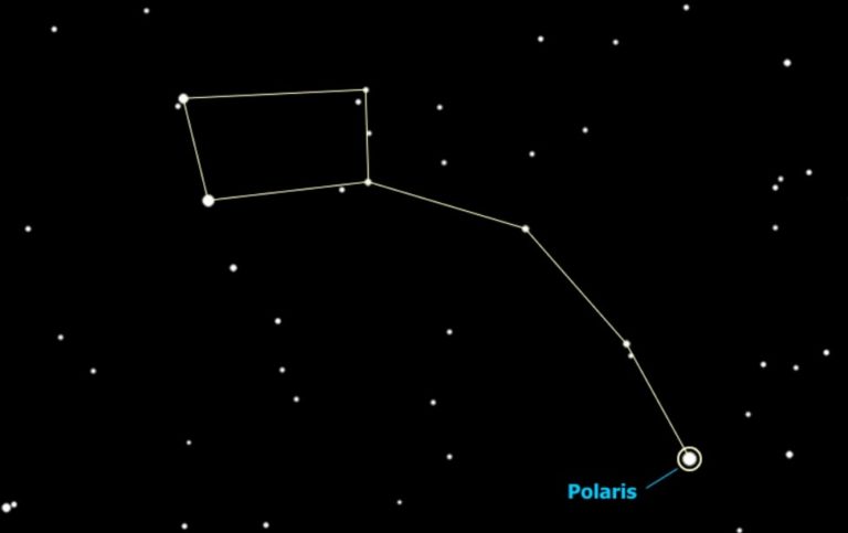Созвездие малой медведицы картинки